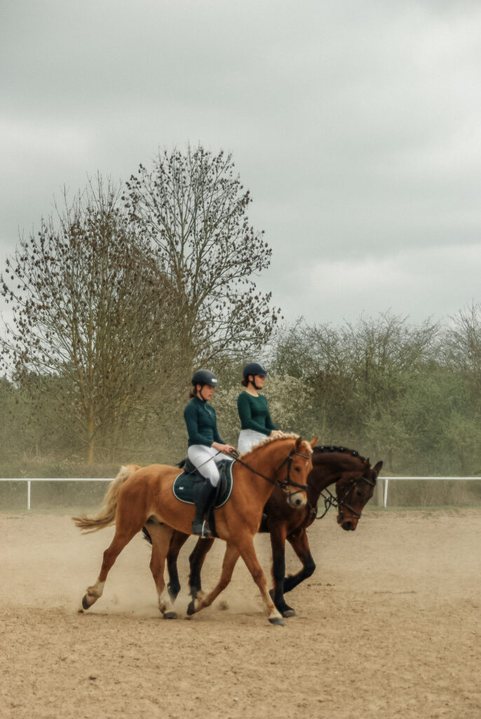 reitverein, pferdesport, pensionsstall, freizeitreiten, reiten, pferdehof, rostock, mv, 30 jähriges Jubiläum