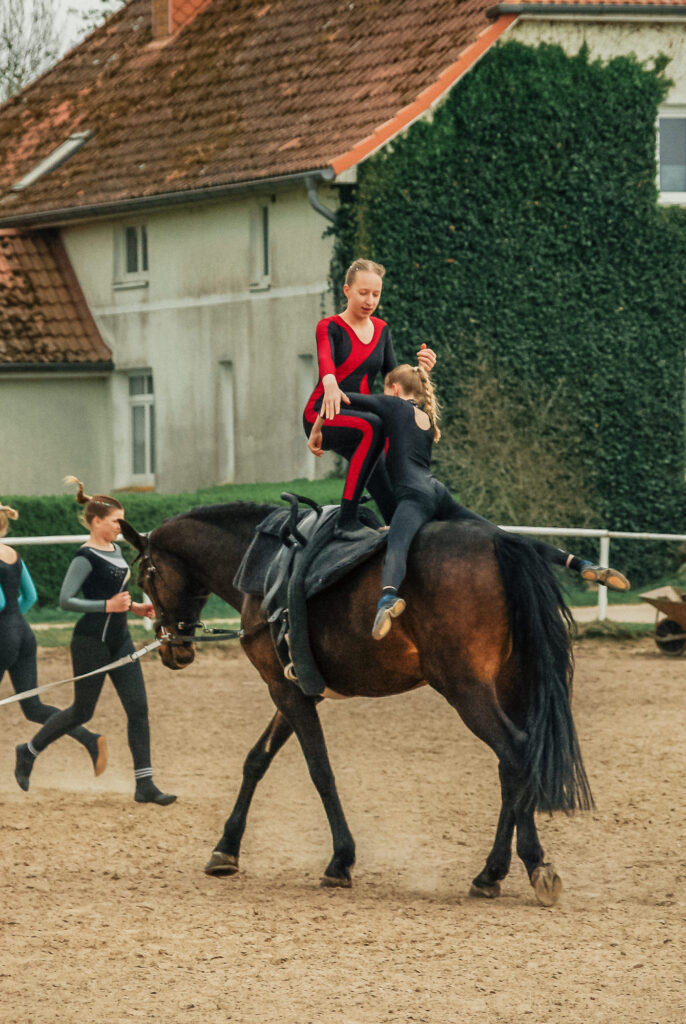 reitverein, pferdesport, pensionsstall, freizeitreiten, reiten, pferdehof, rostock, mv, 30 jähriges Jubiläum
