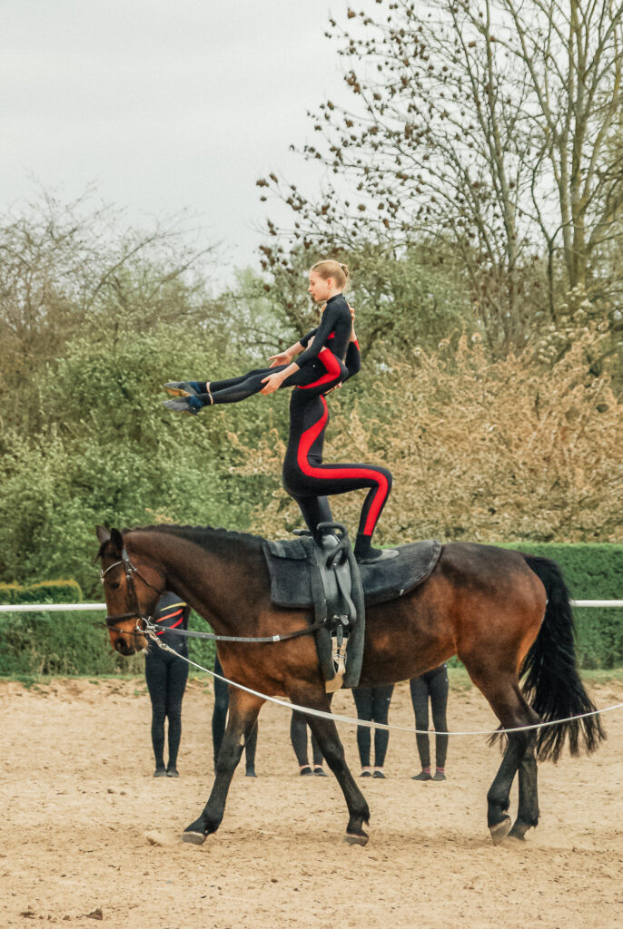reitverein, pferdesport, pensionsstall, freizeitreiten, reiten, pferdehof, rostock, mv, 30 jähriges Jubiläum