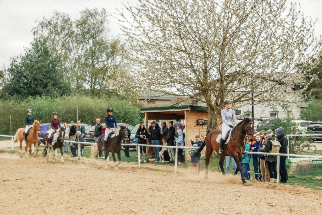 reitverein, pferdesport, pensionsstall, freizeitreiten, reiten, pferdehof, rostock, mv, 30 jähriges Jubiläum