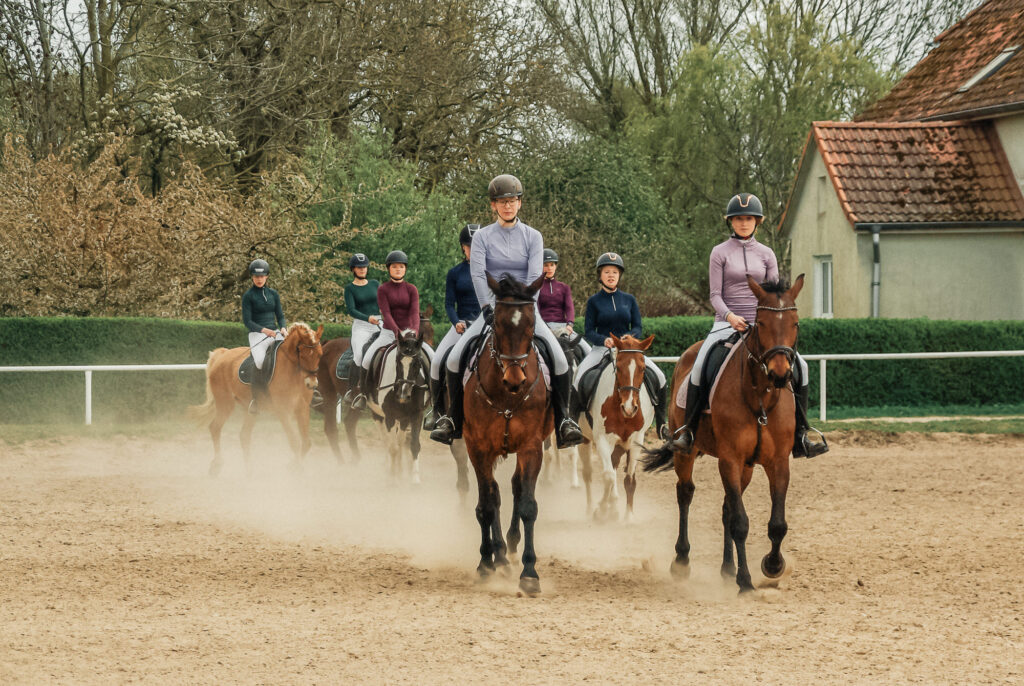 reitverein, pferdesport, pensionsstall, freizeitreiten, reiten, pferdehof, rostock, mv, 30 jähriges Jubiläum
