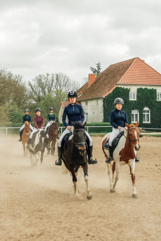 reitverein, pferdesport, pensionsstall, freizeitreiten, reiten, pferdehof, rostock, mv, 30 jähriges Jubiläum
