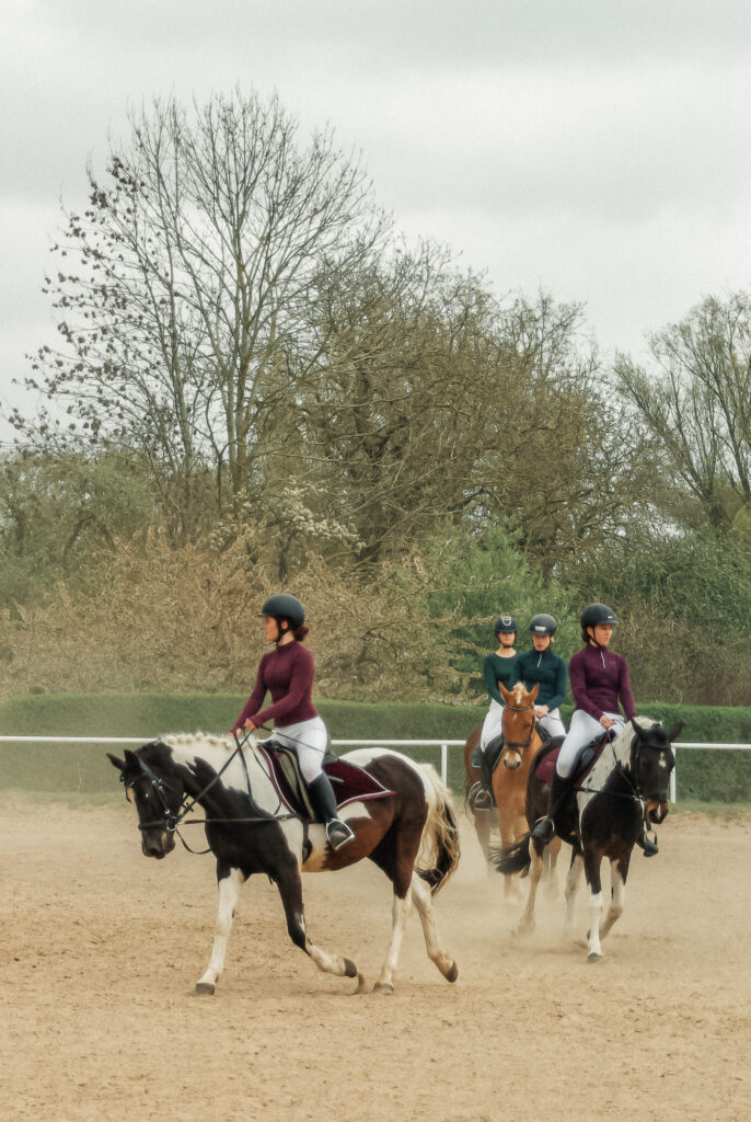 reitverein, pferdesport, pensionsstall, freizeitreiten, reiten, pferdehof, rostock, mv, 30 jähriges Jubiläum
