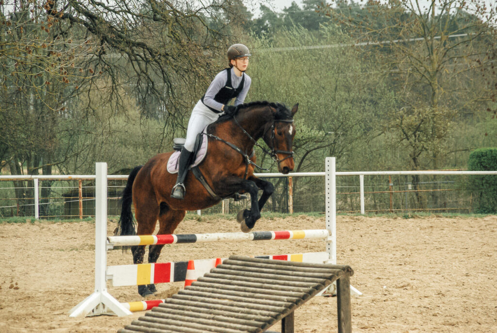 reitverein, pferdesport, pensionsstall, freizeitreiten, reiten, pferdehof, rostock, mv, 30 jähriges Jubiläum