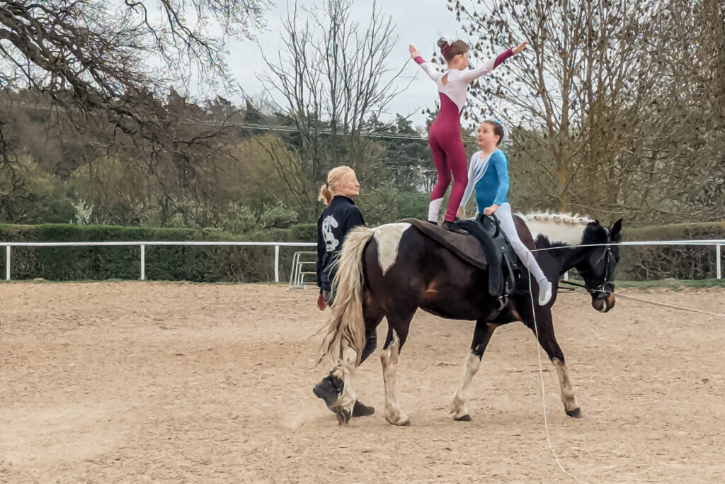 reitverein, pferdesport, pensionsstall, freizeitreiten, reiten, pferdehof, rostock, mv, 30 jähriges Jubiläum