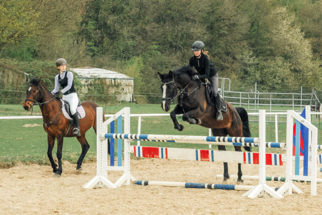 reitverein, pferdesport, pensionsstall, freizeitreiten, reiten, pferdehof, rostock, mv, 30 jähriges Jubiläum
