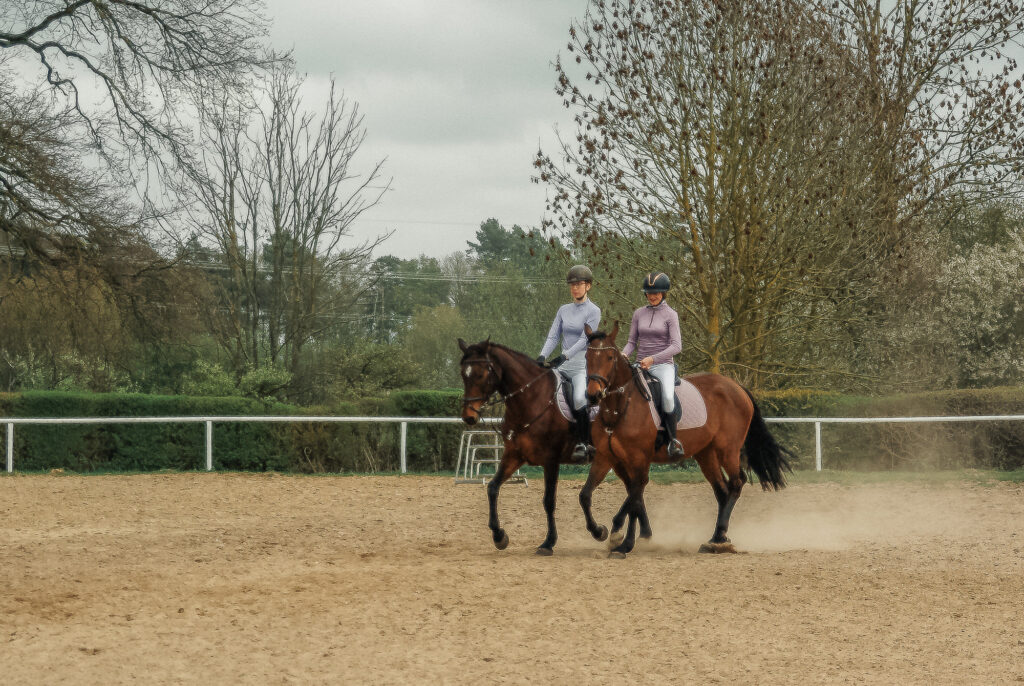 reitverein, pferdesport, pensionsstall, freizeitreiten, reiten, pferdehof, rostock, mv, 30 jähriges Jubiläum