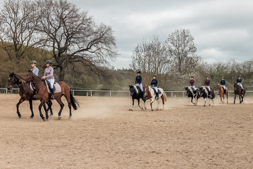 reitverein, pferdesport, pensionsstall, freizeitreiten, reiten, pferdehof, rostock, mv, 30 jähriges Jubiläum