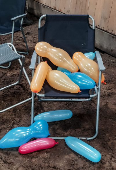 reitverein, pferdesport, pensionsstall, freizeitreiten, reiten, pferdehof, rostock, mv, 30 jähriges Jubiläum